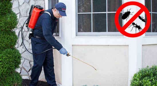 Çamdibi Bit İlaçlama böcek ilaçlama ve haşere kontrolü — ilaclama-tr.com